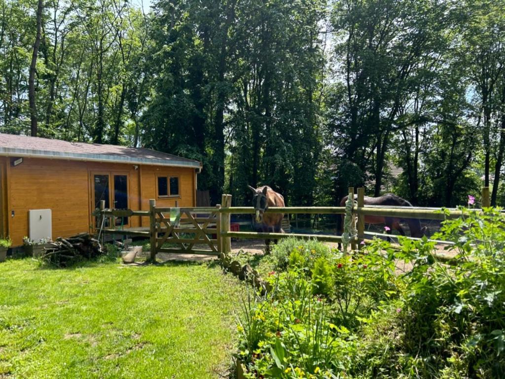 Gites Du Bois Des Perruches Saint-Vincent-des-Bois Esterno foto