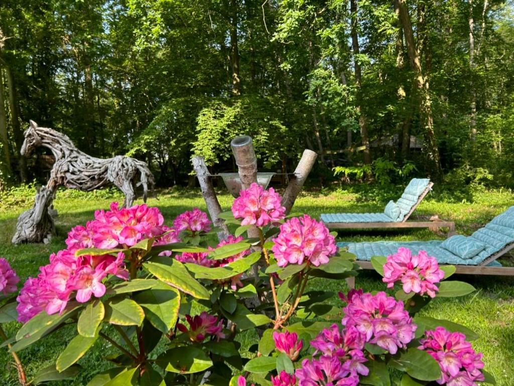 Gites Du Bois Des Perruches Saint-Vincent-des-Bois Esterno foto