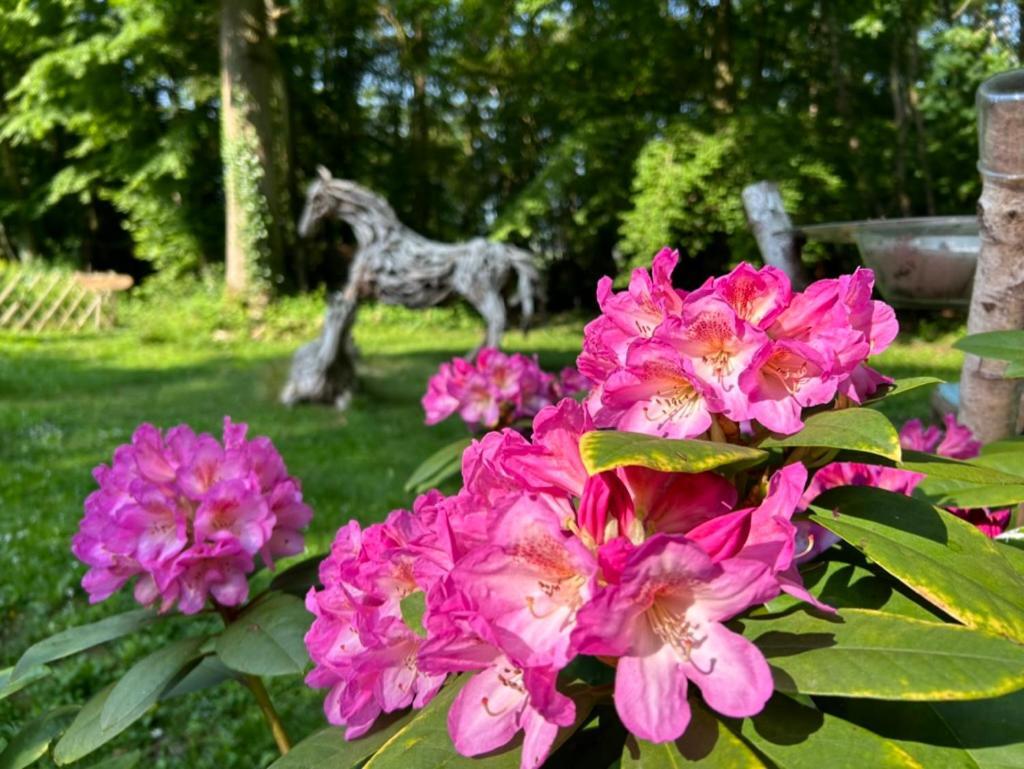 Gites Du Bois Des Perruches Saint-Vincent-des-Bois Esterno foto