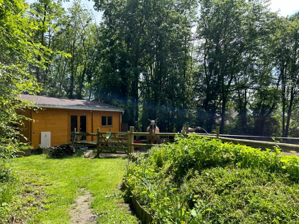 Gites Du Bois Des Perruches Saint-Vincent-des-Bois Esterno foto