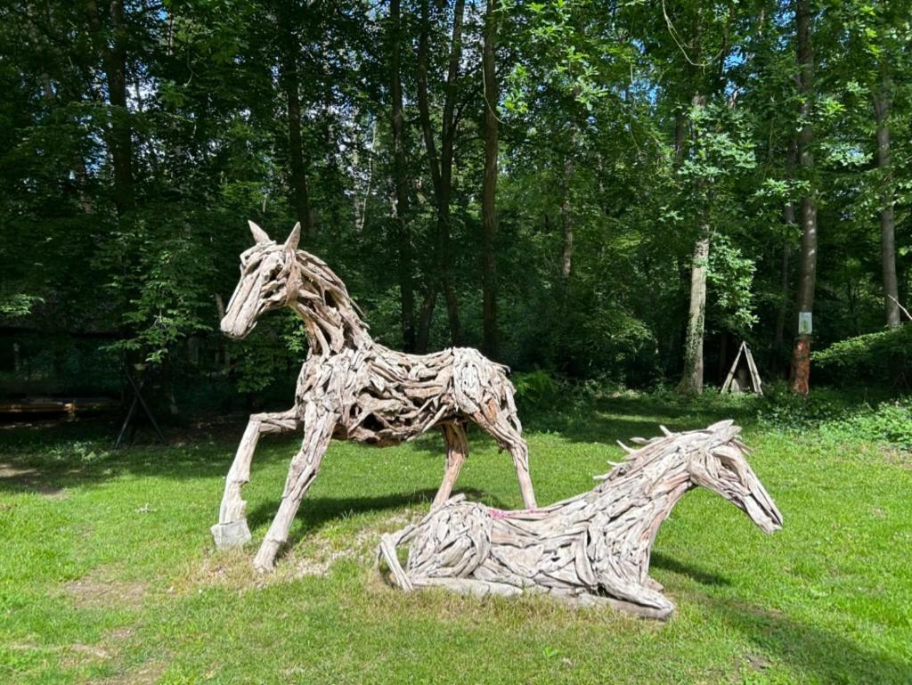 Gites Du Bois Des Perruches Saint-Vincent-des-Bois Esterno foto