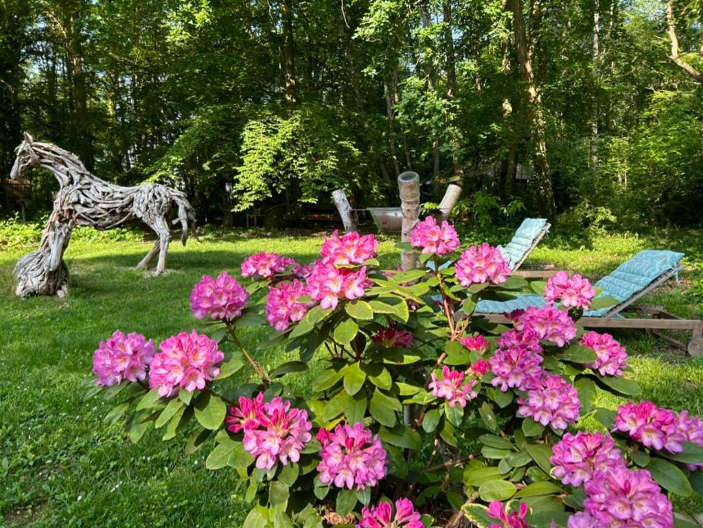 Gites Du Bois Des Perruches Saint-Vincent-des-Bois Esterno foto