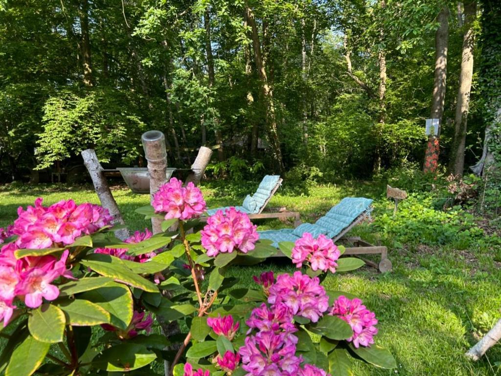 Gites Du Bois Des Perruches Saint-Vincent-des-Bois Esterno foto