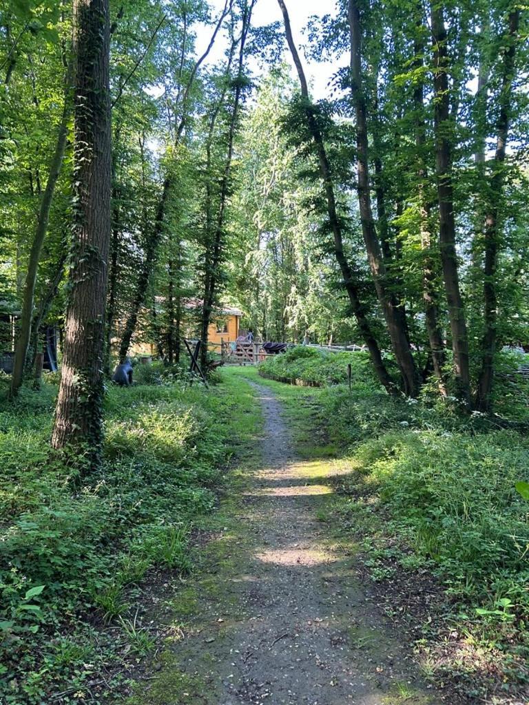 Gites Du Bois Des Perruches Saint-Vincent-des-Bois Esterno foto